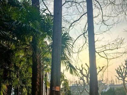 爱阅读的孩子，都是家长套路出来的