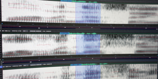 紧急提醒！接到陌生电话先别出声：只需5秒，你的“声音”就能被“偷走”