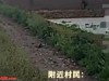 49岁女子干活被雷击中身亡后续：被击中原因曝光，村民讲述细节