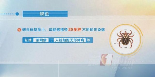 孩子胳膊惊现蜱虫，妈妈“两拒绝”救了娃，连医生都点赞