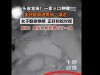 广西一家三口熟睡，剧毒金环蛇闯进房间到床边“溜达”，女子翻身睁眼，正好和蛇对视，网友：人和蛇都吓了一跳