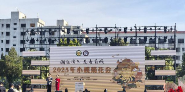 一年一度菊花盛会！2025年小榄菊花会11月28日开幕