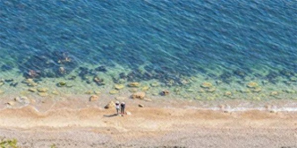比厦门清净比青岛便宜！25℃烟台实现海鲜樱桃双自由