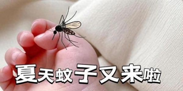 你买的高科技驱蚊手环，可能还不如几块钱的蚊香液