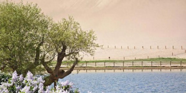 鸣沙山月牙泉景区关于调整景区开放和售检票时间的通知