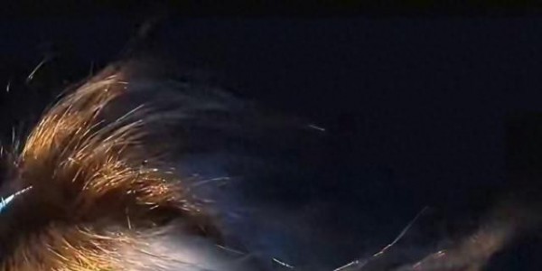 惊！全红婵“换头式”长大！长发披肩甜到齁，眼神干净得能洗眼睛