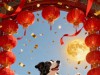 生肖狗的终身伴侣：除了这两人，其他人都只是你生命中的插曲！