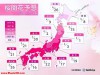 2026最新樱花满开时间表预测公布！这份追樱攻略请收好