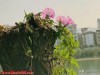 七十岁健康真相：四处游玩，不如守住本心，坚持3个习惯百病不侵
