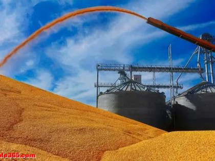 难怪今年我国加紧储备粮食！摩根大通预警，2027年或将迎来大危机