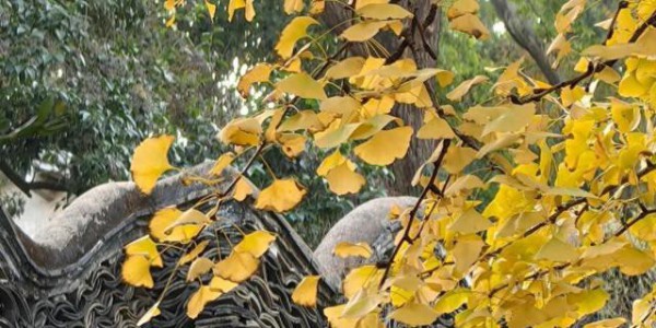 拥堵预警！这周末大家都去......