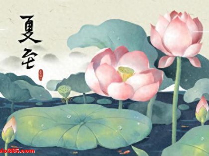 夏至·养生｜穿通透舒爽宽松衣物，外出头部重点防晒，饮食当清补味淡