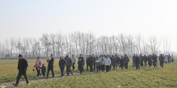 河南宝丰马街书会：麦田上的说唱艺术，听书的麦子会长得更好吗？