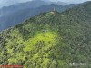 没见过! 科考队在四川屏山撞见"白斑怪草", 竟是全球公认的珍稀物种