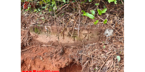 江西宜春高速公路施工，挖出清代一知府古墓，当地：现场已被保护，文物部门正挖掘考证