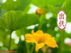“早出伏，凉飕飕；晚出伏，热死牛”，今年8月24日出伏，是早还是晚？出伏后还热多久？答案来了，早了解