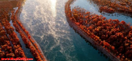 安徽最美赏春自驾路线：皖南春韵自驾全攻略，看这一篇就够了