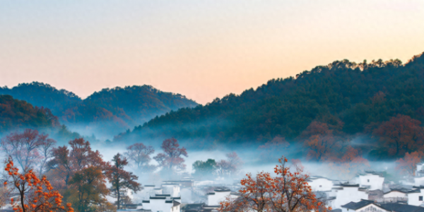 这是我见过最美的柿乡：