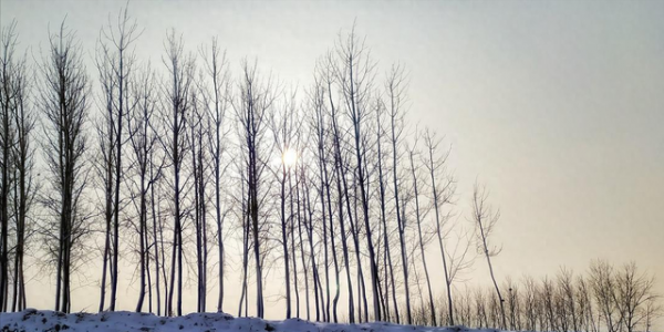 今日冬月廿七“土旺日”，提醒：1不存，2要留，3要吃，忌1事