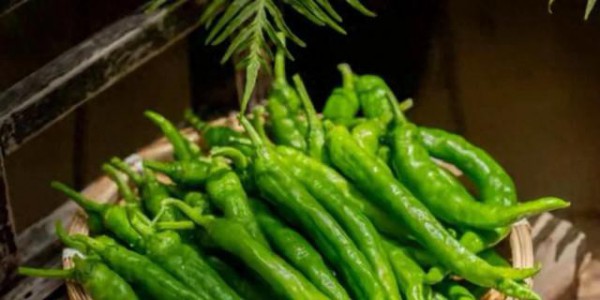 谁说四川吃麻辣？湘菜单刀赴会，2.7万“北伐”让川菜护城河崩塌