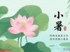 小暑时节多煮苹果水喝，一清内热、二补津液、三养脾胃，安稳入伏