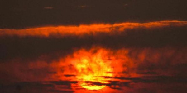 “暴力黄”全开！汨罗江雾、水垅村银杏……惊艳登场