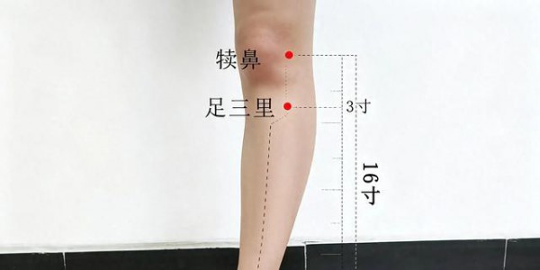 记不住361个穴位？老祖宗说：抓住这3个"万能穴"，胜过乱按百处！