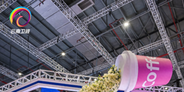 2025长三角文博会｜在文博会上打卡“一种叫云南的生活”