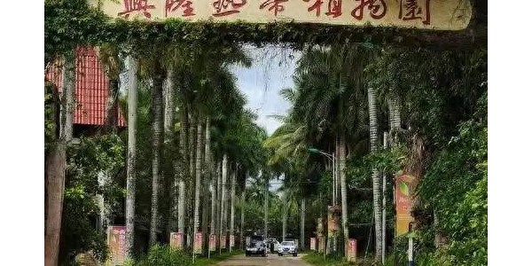 万宁市/日月湾、石梅湾、大花角、东山岭 兴隆热带植物园 神州半岛