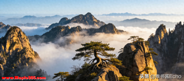 去了5次黄山才敢说！这5个地方必须按顺序打卡，错过一个都算白来