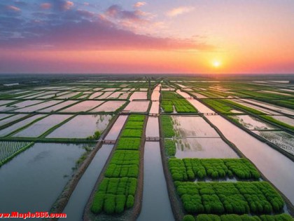 高铁直达！江苏真正冷门的县城，遍地都是古运河，原汁原味的江南