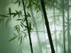 你老了，最嫌弃你的人是谁？主要有三人，看完你就明白了