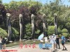 五龙潭里享清凉
