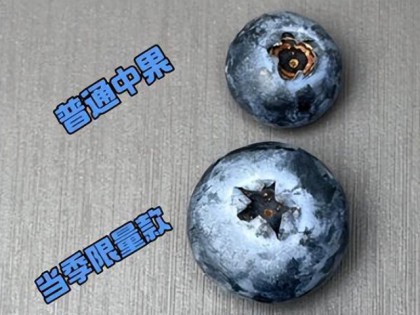 蓝莓越大越亏？关于水果“体型焦虑”的真相来了