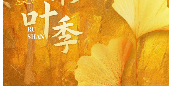 当秋风吻过乳山：一场关于色彩与治愈的漫步指南