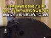 生理期请病假要脱裤子证明后续，校方竟称流程合规，女生发文反击