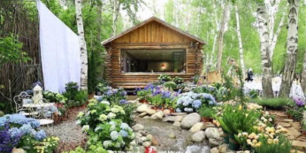 漫游金山丨冬赏雪 夏看花 阿勒泰市这座咖啡馆藏着四季浪漫