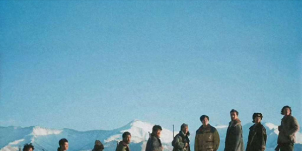 收视井喷！不看杨紫《生命树》的呼声却越来越高，原因离不开3点