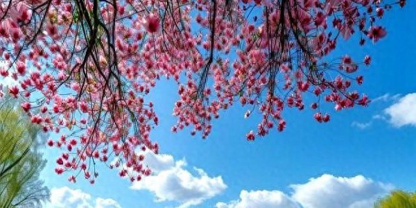 被，人“借运”的3个迹象，每个都要拒绝