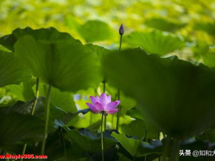 当儿女不尊重你时，不要愤怒、不要讲道理，记住这3句话就赢了