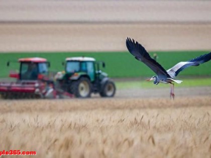 你如何看家长在公共场合打骂孩子