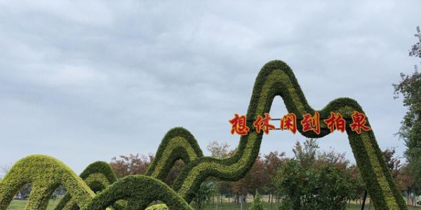 东西湖区第29届金秋菊展开幕，到柏泉古镇品味深秋浪漫