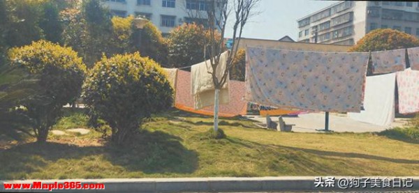 不是迷信！20号大寒，牢记1不晒，2不做，3多吃，安康迎新春！