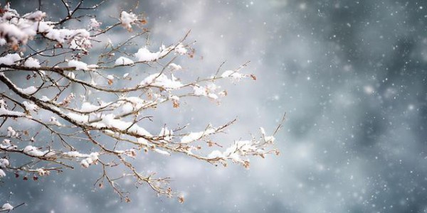 “上午立冬冻死牛，下午立冬暖烘烘”，今日立冬不一般，有啥说法