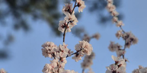 失眠7年的我，不靠吃药！亲测最牛的深呼吸，5分钟就能打哈欠入睡