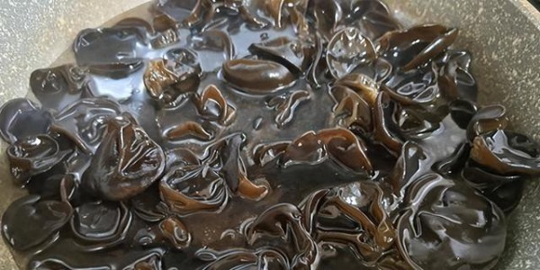 含剧毒，无解药！每家每户都有，一定别乱吃，哪怕煮烂了也没用！