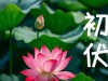 老话“男怕入伏”, 明日入伏, 提醒男人: 1要吃，2要躲，3要去, 4不碰
