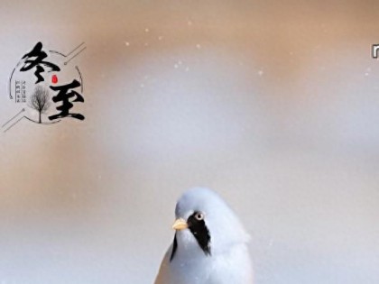 冬至的美食知道多少？