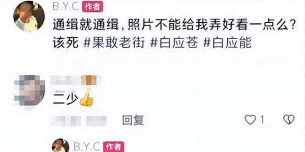 白应苍究竟有多狂？被抓前对通缉嗤之以鼻，宣判死刑后一脸不服气