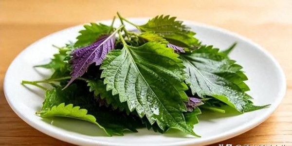 鼻炎孩子夏天吃它，寒湿排了，脾胃暖了，鼻子也通畅了！还不上火